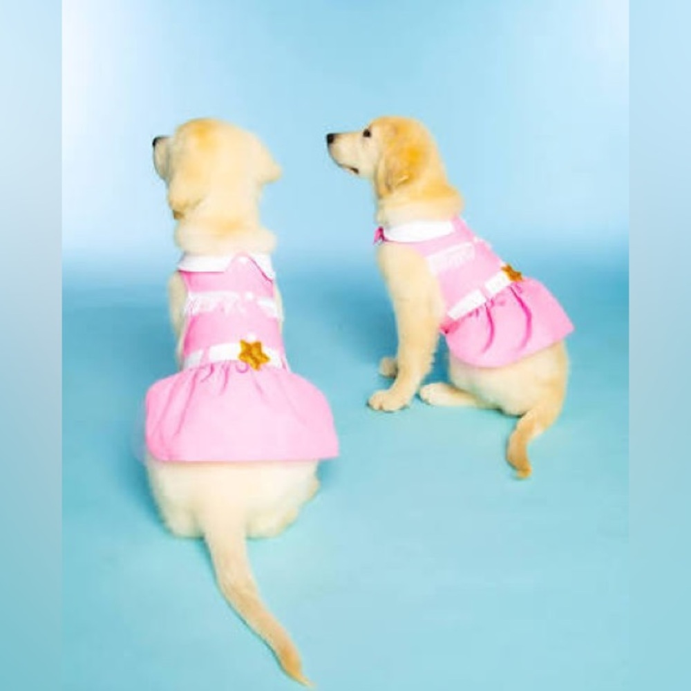 Doggy Parton Cowgirl Collared Dress Size Small